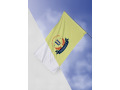 Drapeau à main